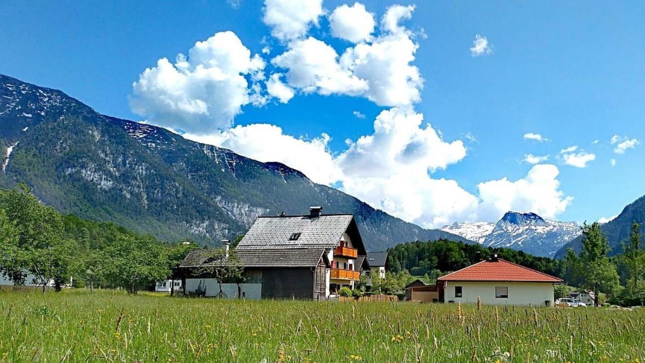 Haus Moni Lejlighed Bad Goisern Eksteriør billede